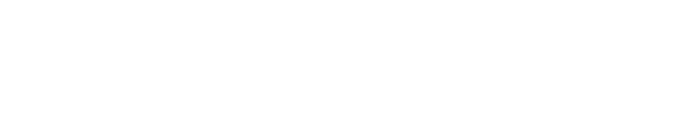 Logo de l'entreprise LVD Vision